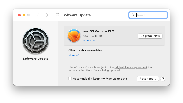 Screenshot of the Software Update Pane